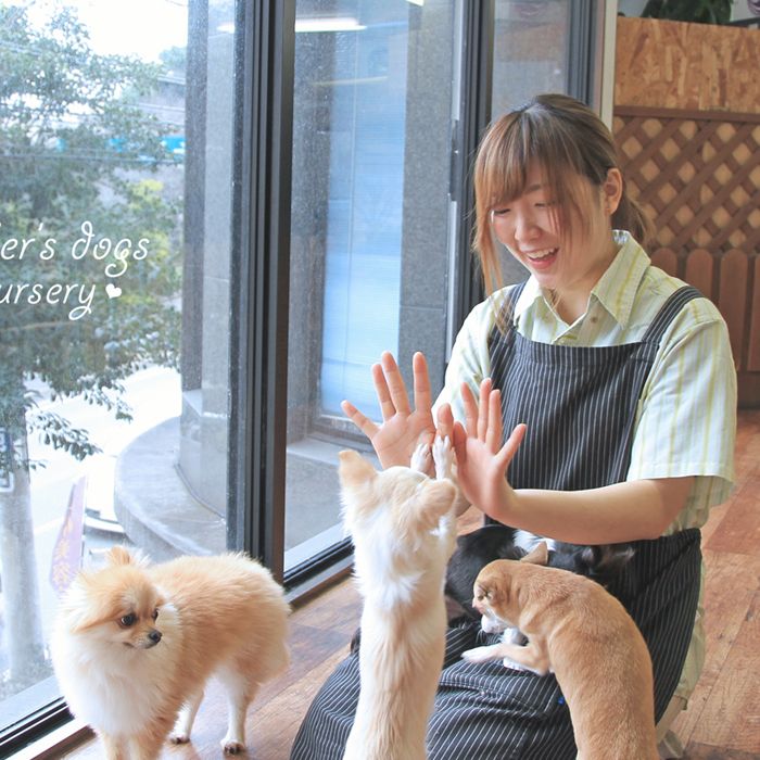 福岡県福岡市中央区のペットホテル MOTHER’S DOGS　のサムネイルのサムネイル2枚目
