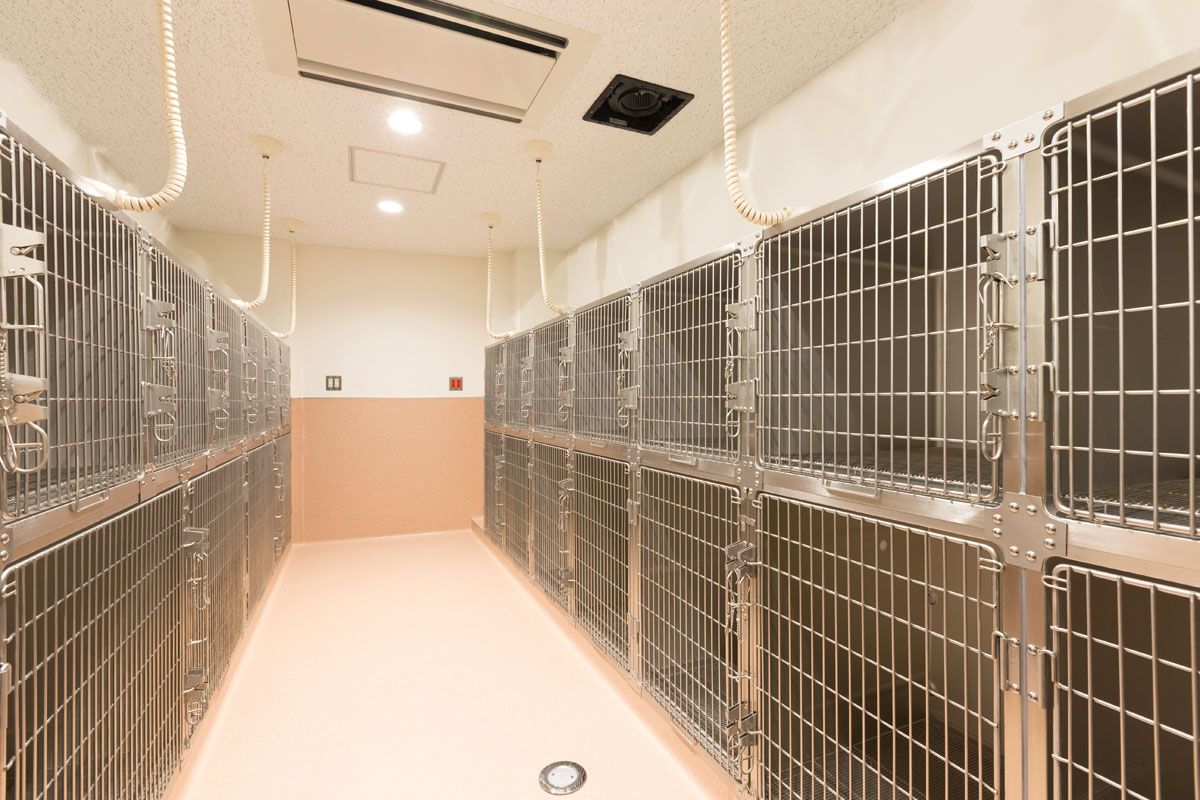 神奈川県横須賀市のペットホテル つだ動物病院のサムネイルのサムネイル2枚目