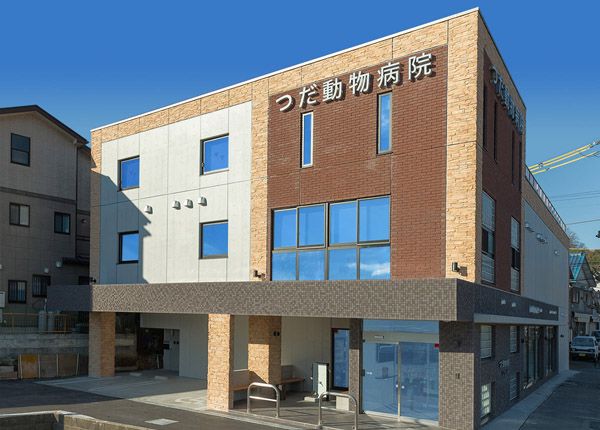 神奈川県横須賀市のペットホテル つだ動物病院のサムネイルのサムネイル1枚目