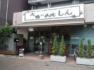 東京都江東区のペットホテル 犬猫の病院しんのサムネイルのサムネイル1枚目