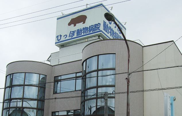 兵庫県加古川市のペットホテル ひっぽ動物病院のサムネイルのサムネイル1枚目