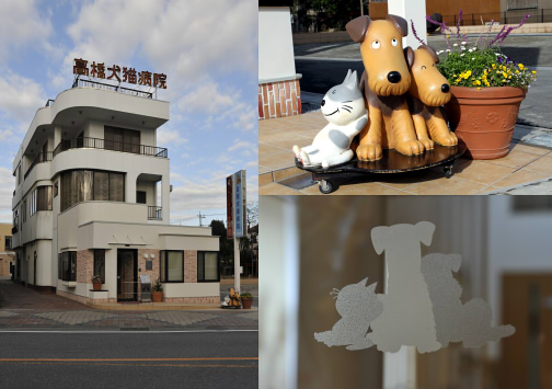 埼玉県さいたま市岩槻区のペットホテル 高橋犬猫病院のサムネイルのサムネイル1枚目