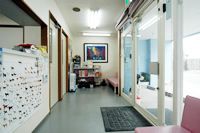 千葉県成田市のペットホテル むかい猫と犬の病院のサムネイルのサムネイル2枚目