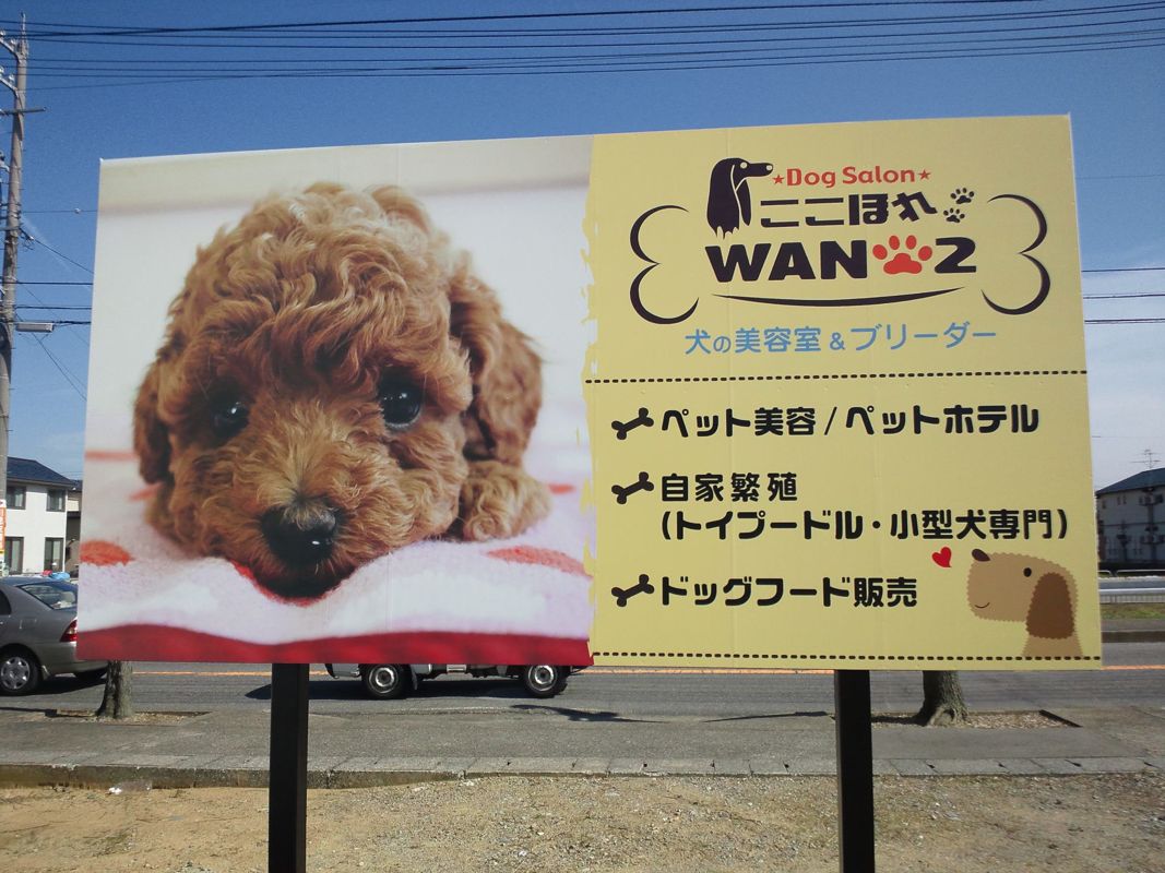 福井県坂井市のペットホテル Dog Salon ここほれWAN2の3枚目