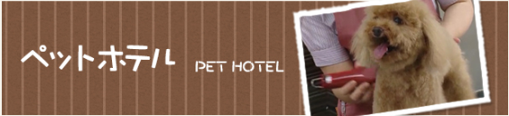 兵庫県加古川市のペットホテル 動物の森ペットランドリブ別府店のサムネイルのサムネイル2枚目