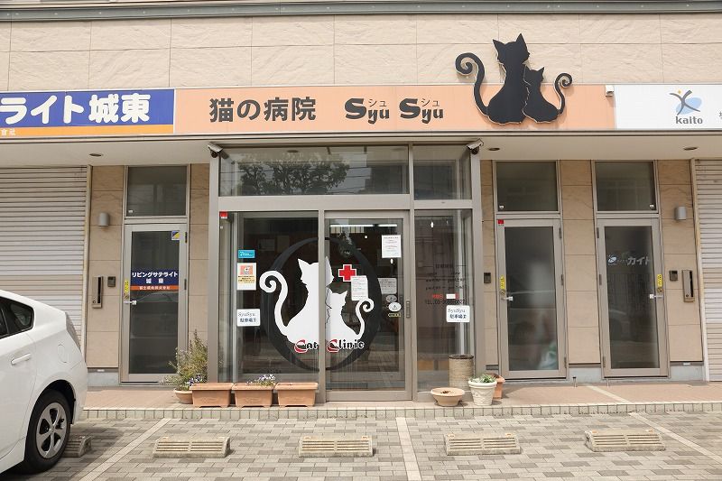 東京都江戸川区のペットホテル 猫の病院シュシュのサムネイル1枚目