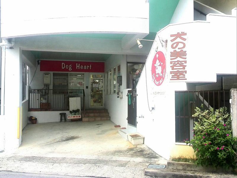 沖縄県那覇市のペットホテル ドッグ・ハートのサムネイルのサムネイル2枚目