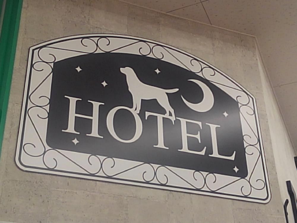 福島県本宮市のペットホテル ペットワールドアミーゴ 本宮店のサムネイルのサムネイル2枚目