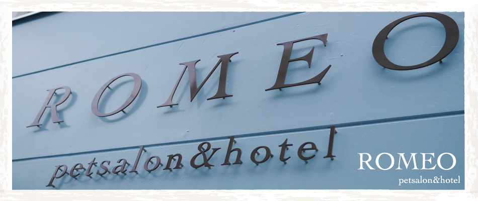 福岡県福岡市中央区のペットホテル ROMEO petsalon&hotelのサムネイルのサムネイル1枚目