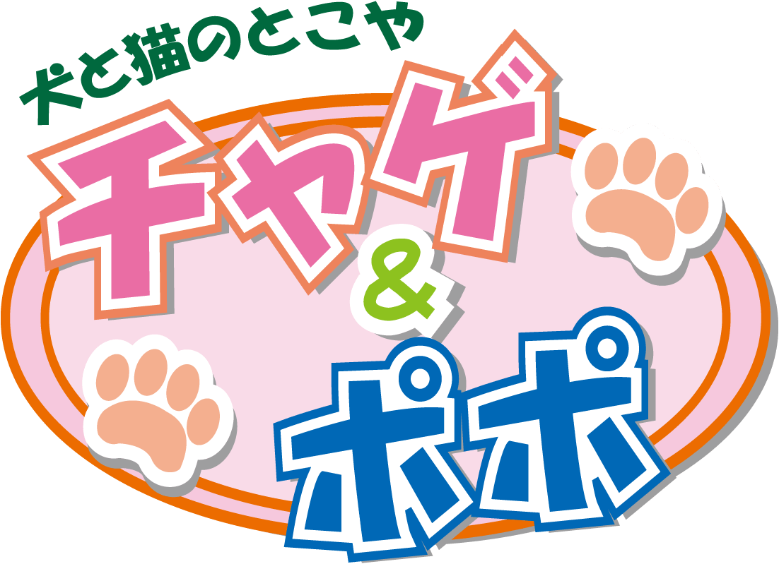 富山県魚津市のペットホテル 犬と猫のとこや チャゲ＆ポポの1枚目