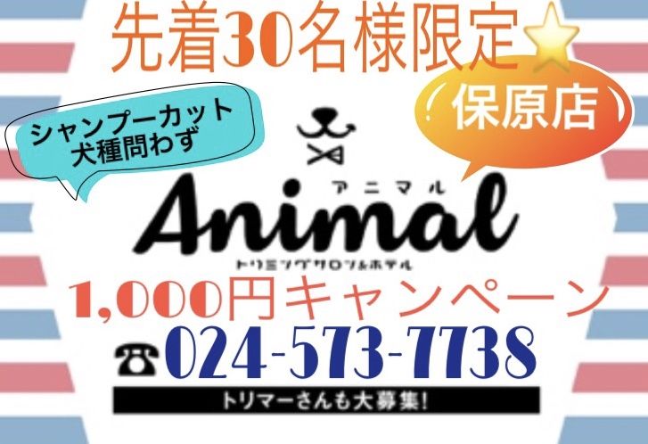 福島県伊達市のペットホテル Animal保原店のサムネイルのサムネイル1枚目