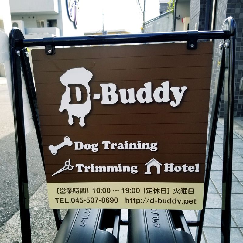 神奈川県横浜市青葉区のペットホテル D-Buddyのサムネイルのサムネイル1枚目