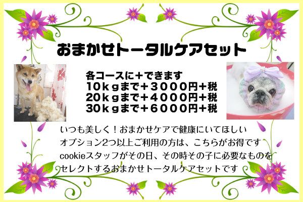 兵庫県宝塚市のペットホテル 滞在型トリミングサロン　ハッピーケアサロン クッキーの3枚目