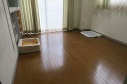 新潟県湯沢町のペットホテル ペットハウスワイエムのサムネイルのサムネイル2枚目