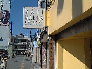 高知県高知市のペットホテル MARI MAEDA ドッグスタジオの5枚目