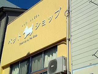 高知県高知市のペットホテル MARI MAEDA ドッグスタジオの4枚目