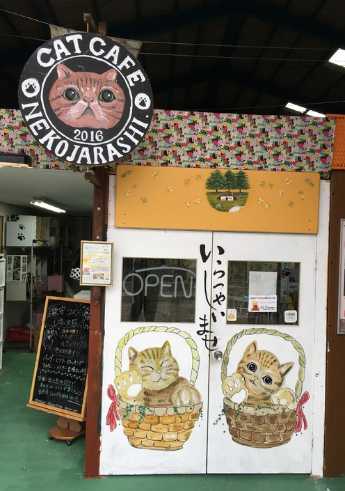 愛知県一宮市のペットホテル 猫カフェ ねこじゃらしのサムネイルのサムネイル1枚目