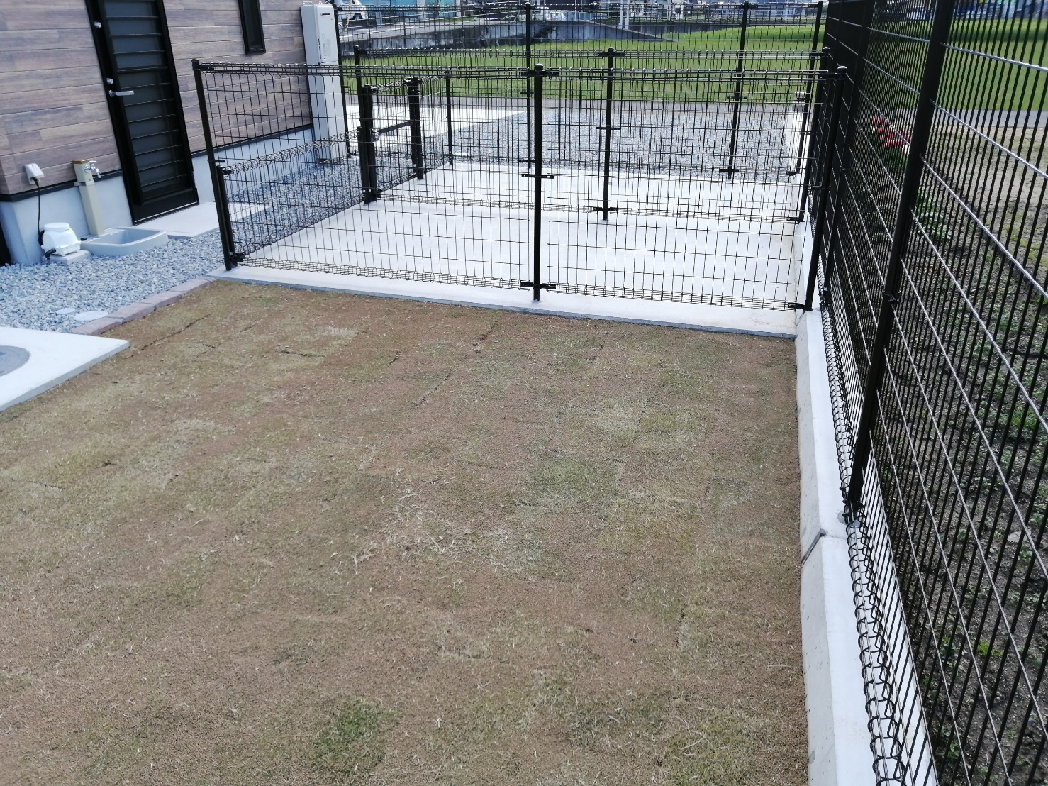 香川県琴平町のペットホテル DOG ROOM Coco&Nicoの3枚目