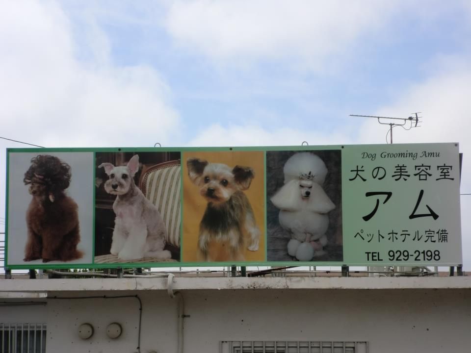 沖縄県沖縄市のペットホテル 犬の美容室アムの2枚目
