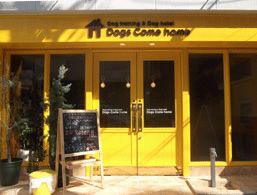 Dogs Come home のサムネイル