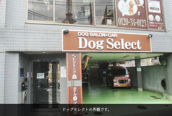 東京都大田区のペットホテル Dog Selectのサムネイルのサムネイル1枚目
