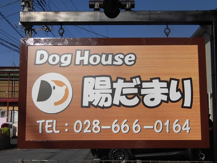 栃木県宇都宮市のペットホテル Dog House 陽だまりの4枚目