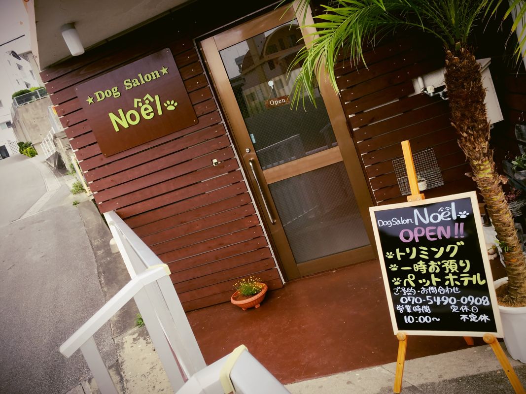 沖縄県沖縄市のペットホテル DogSalon Noëlのサムネイルのサムネイル2枚目