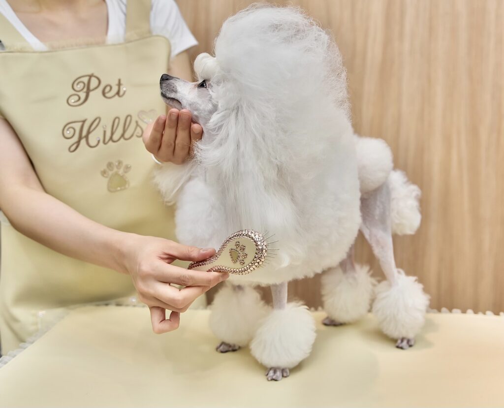 東京都渋谷区のペットホテル PET HILLS渋谷・表参道店のサムネイルのサムネイル2枚目