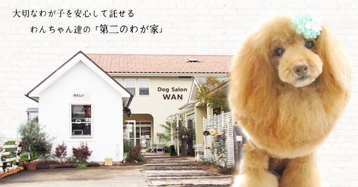 大阪府羽曳野市のペットホテル Dog Salon WANのサムネイルのサムネイル1枚目