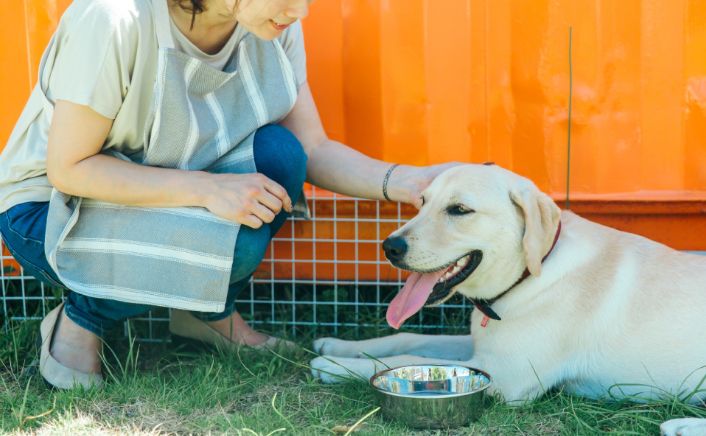 三浦ペットショップ のサムネイル