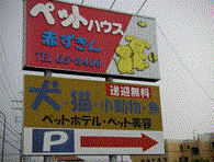 滋賀県草津市のペットホテル ペットハウス　赤ずきんのサムネイルのサムネイル2枚目