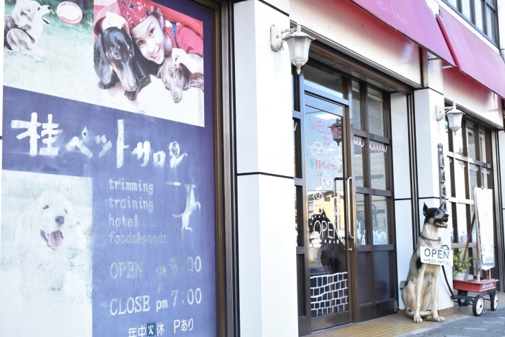 京都府京都市西京区のペットホテル 桂ペットサロンのサムネイルのサムネイル1枚目