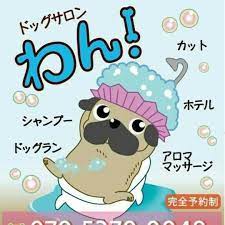 沖縄県沖縄市のペットホテル ぱぐかふぇ＆ドッグサロン わん！のサムネイルのサムネイル2枚目