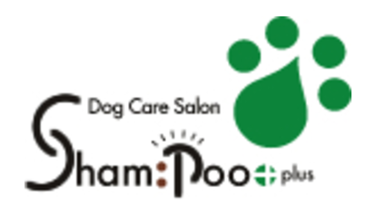 大阪府豊中市のペットホテル Dog Care Salon Sham:poo+の4枚目