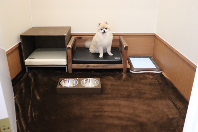 北海道函館市のペットホテル ペットサロン・ホテル D&Cのサムネイルのサムネイル1枚目
