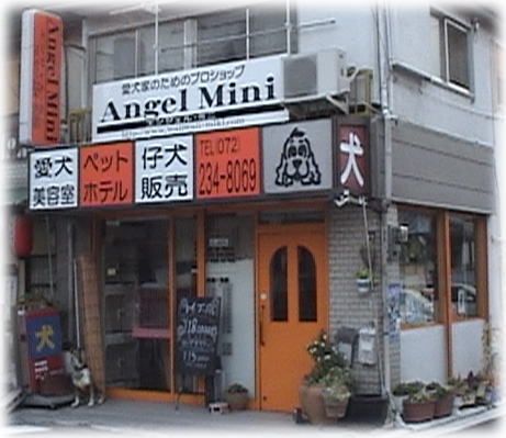 大阪府堺市東区のペットホテル Angel Miniの3枚目