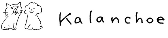 Kalanchoe のサムネイル