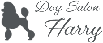 Dog Salon Harry のサムネイル