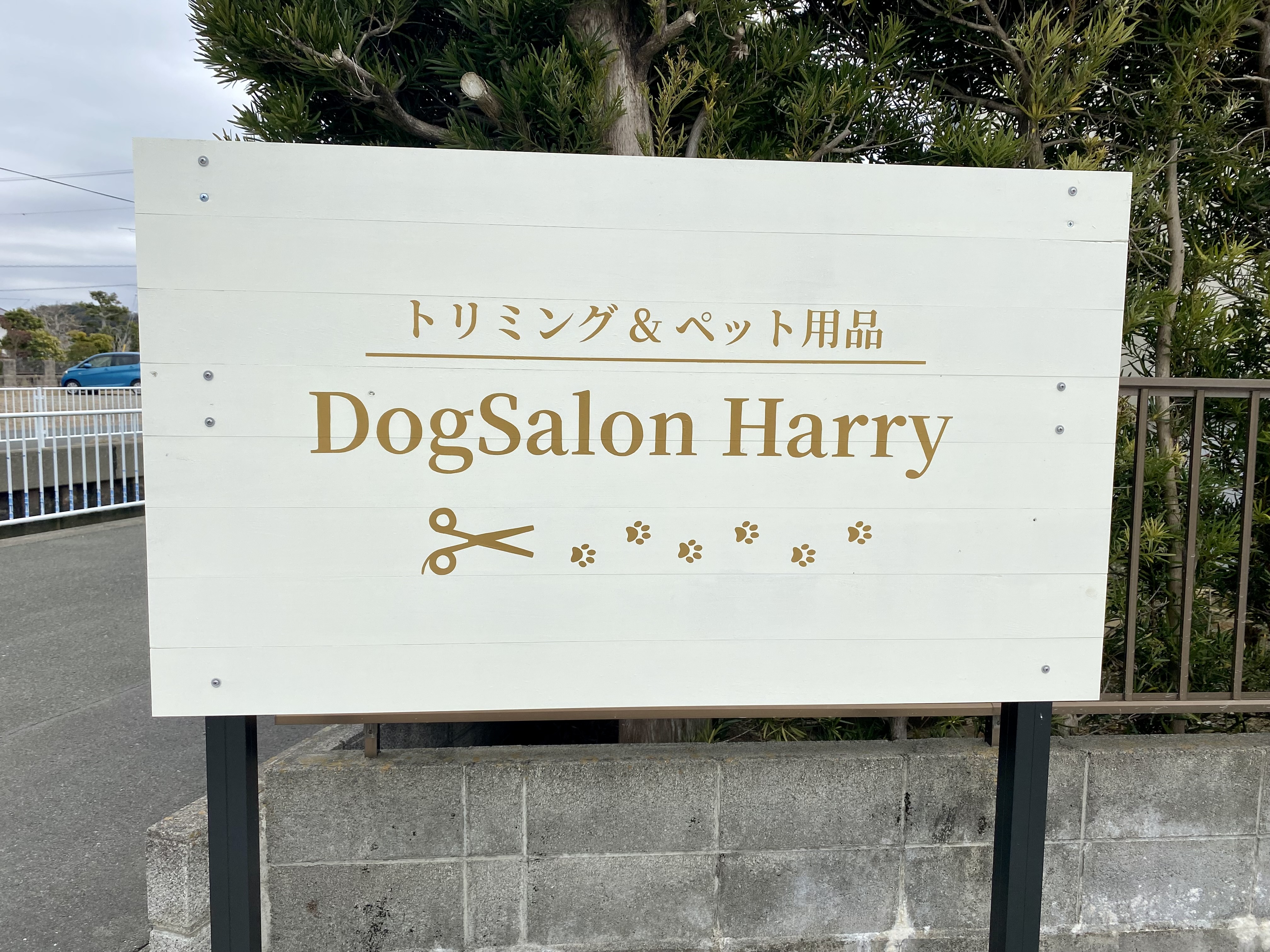 静岡県浜松市中央区のトリミングサロン Dog Salon Harryの3枚目