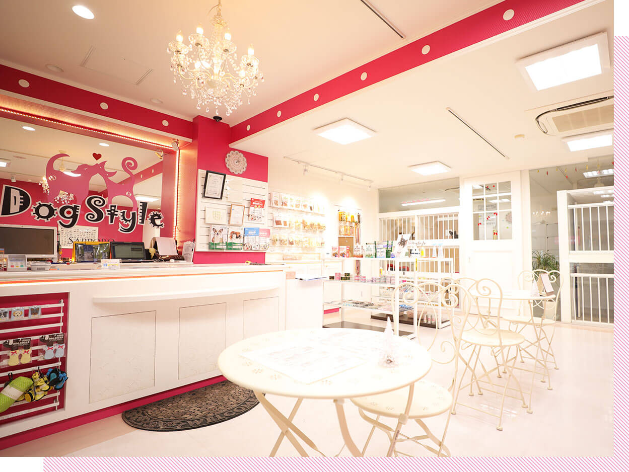 ドッグスタイル 本店 2