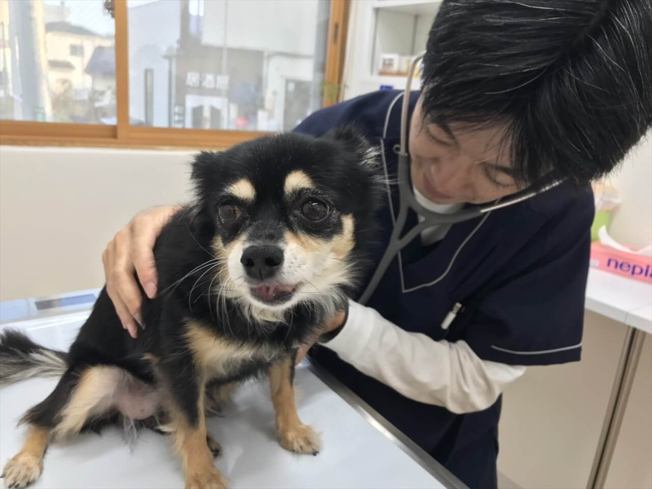 ジョン動物病院 3