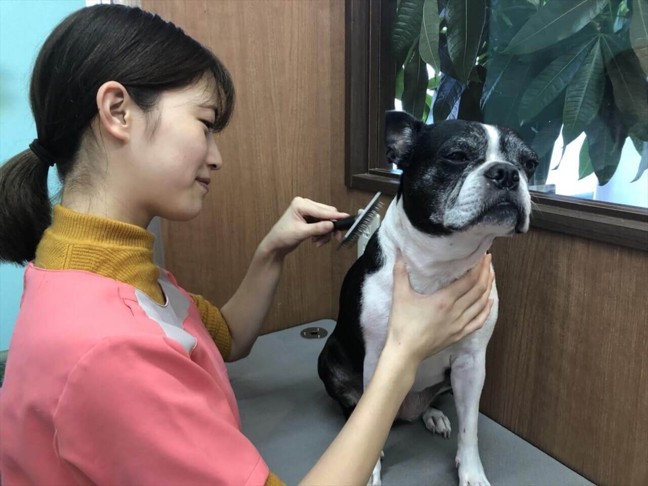 ジョン動物病院 2