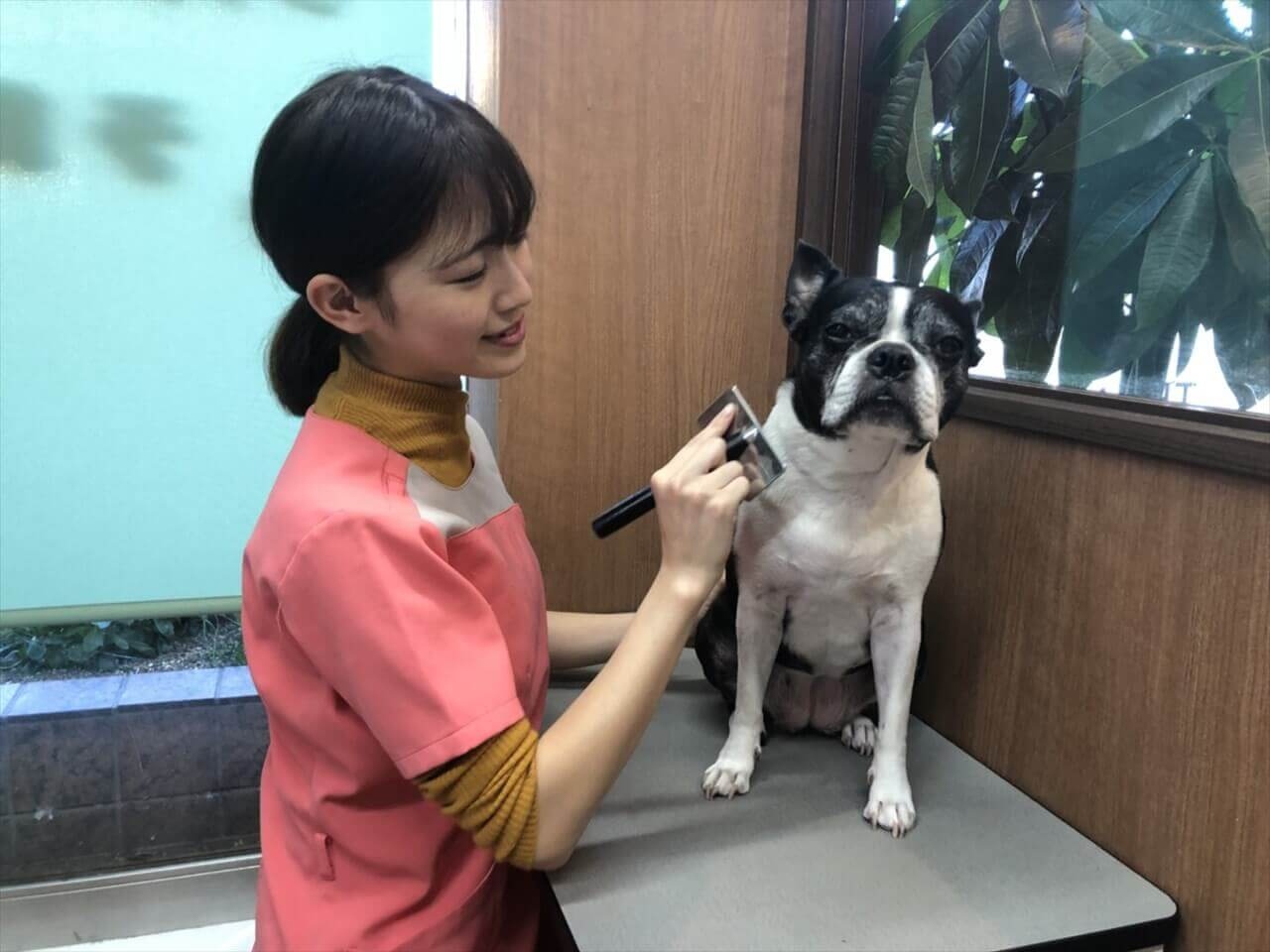 ジョン動物病院 1