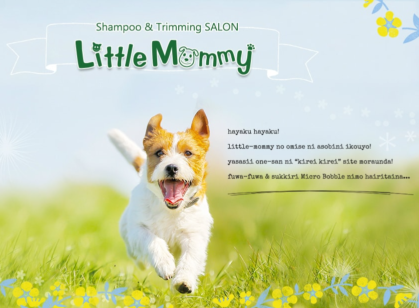 東京都八王子市のトリミングサロン Little　Mommy（リトルマミー）のサムネイル1枚目