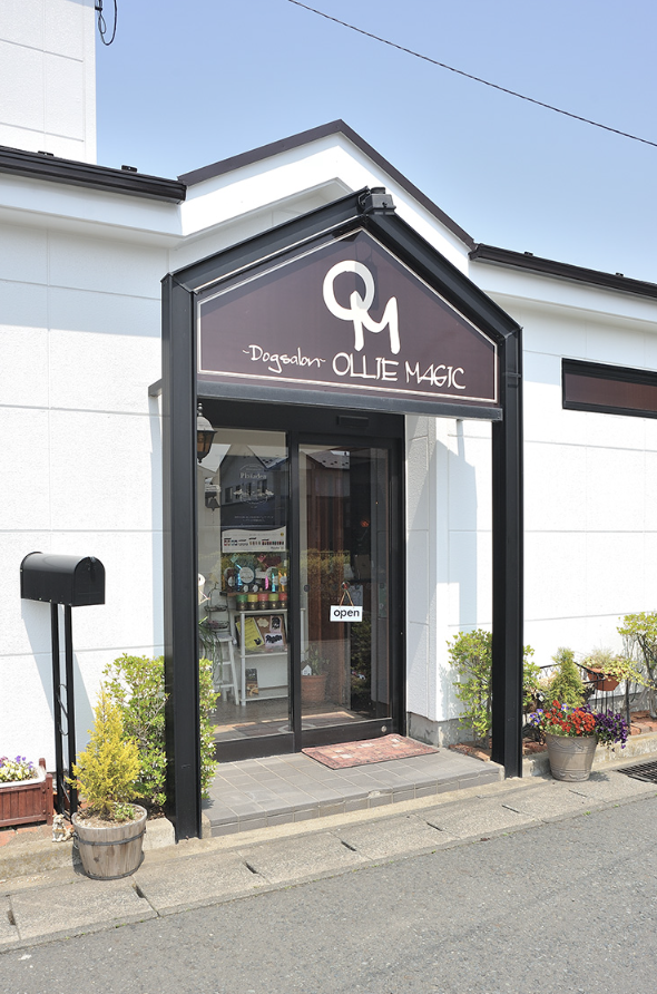 Dogsalon OLLIEMAGIC 1