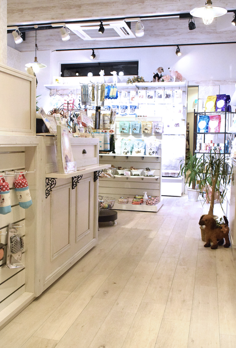 Dogsalon OLLIEMAGIC 2