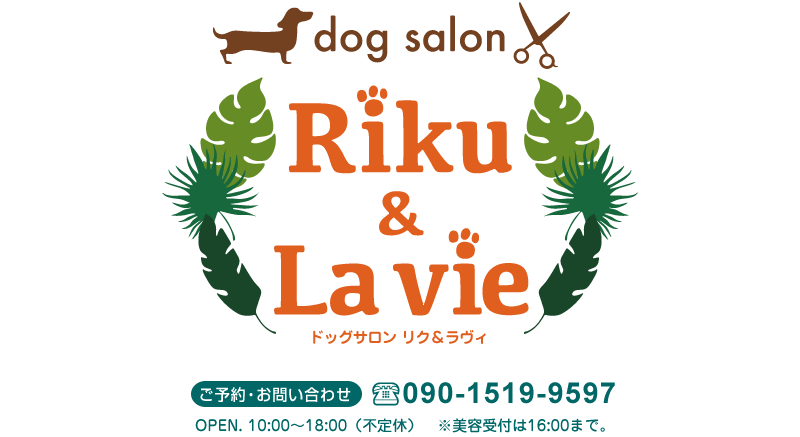 dogsalon Riku & Lavie 1