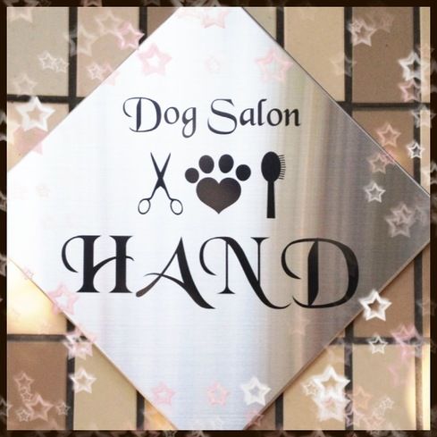埼玉県川口市のトリミングサロン Dog Salon HANDのサムネイル2枚目