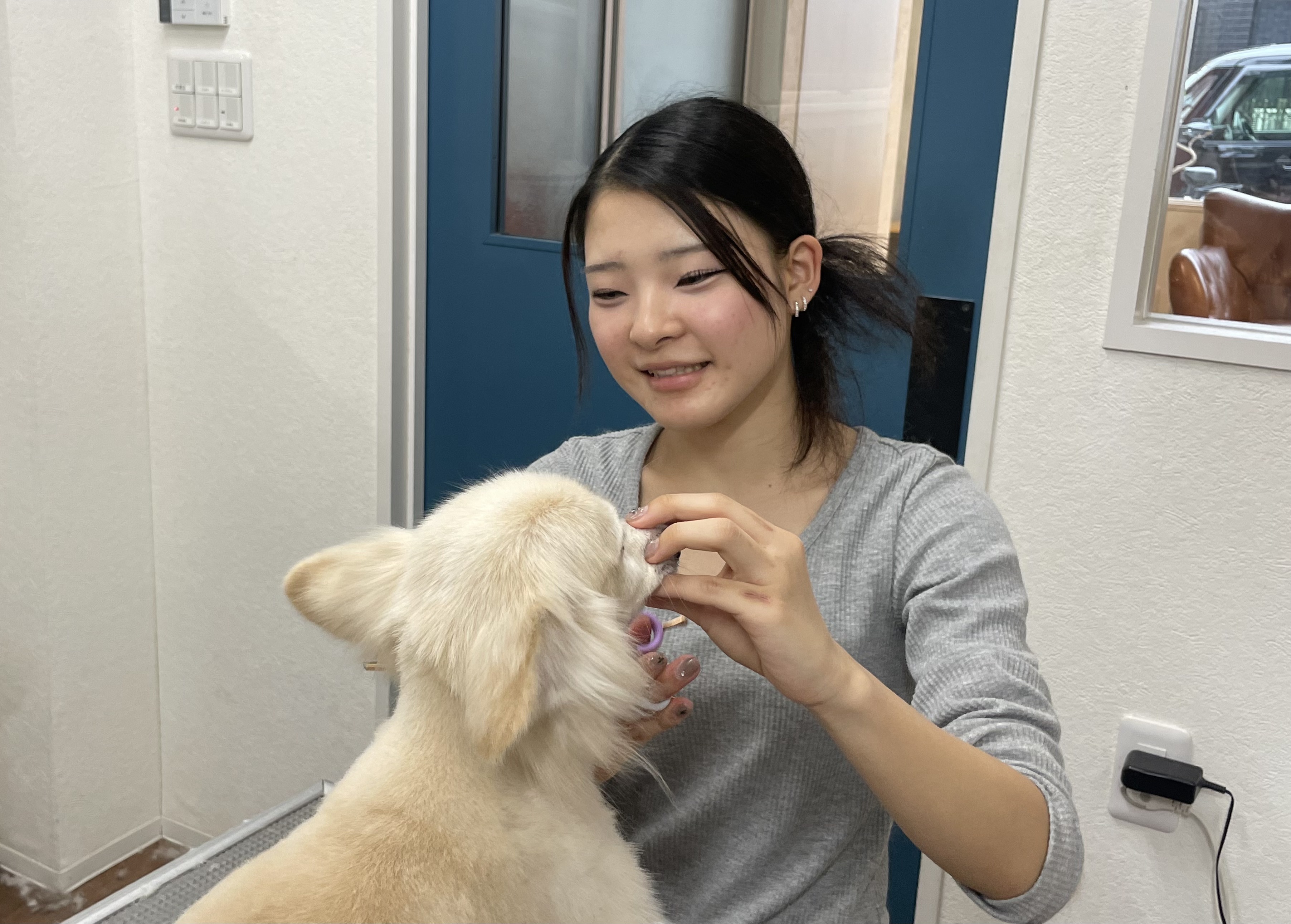 トリミングサロン トリミングハウス OHANAのトリマー Kokoro Yamagishi