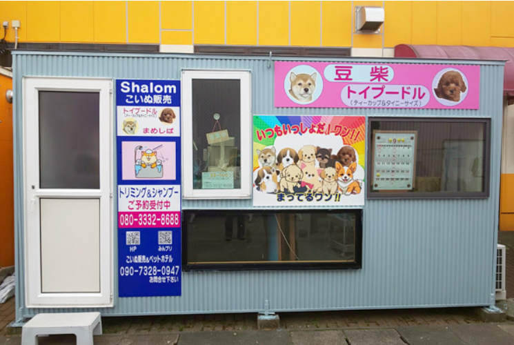ココ・シャロン 1
